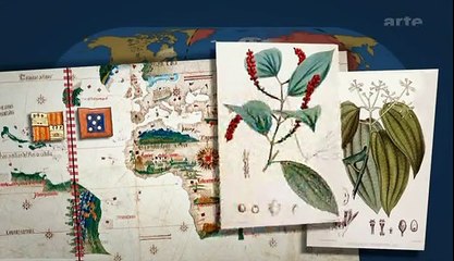 Mit offenen Karten - Magellans falsche Weltkarte