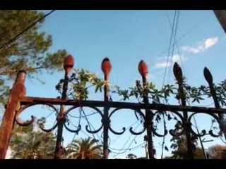 Mirta, de regreso  Juan Carlos Baglietto