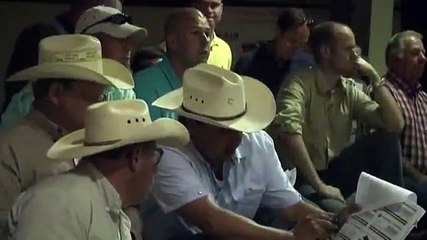 Drought Fears Hang Over Texas Cattle Auction