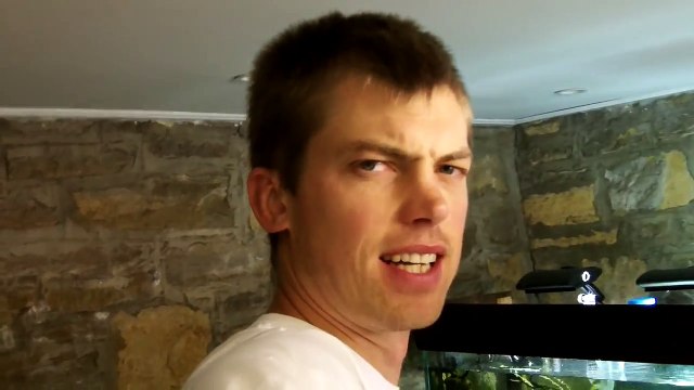 Rainbow Fish Species Sunday. General Rainbow info. My Random Rainbows, tearing down a 75