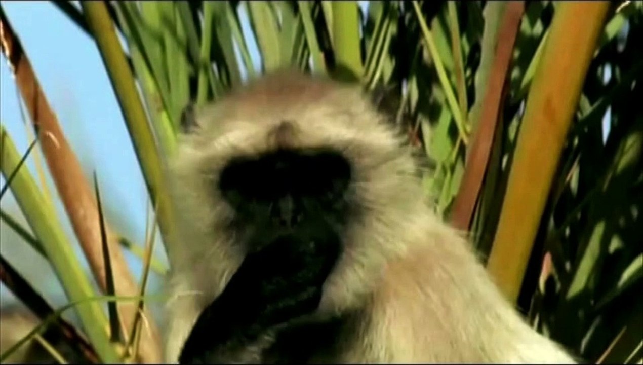 Les Miracles d'allah  معجزات الله في خلقه سبحان الله لن تصدق ما سترى والله سوف تذهل