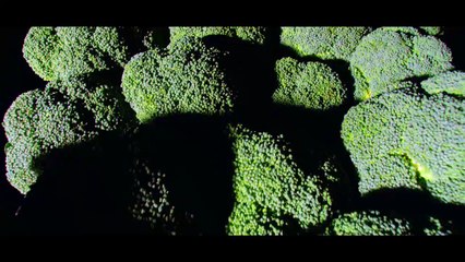 Lurpak Cook's Range - Adventure Awaits