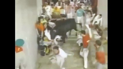 Animal Attack Compilation Caught On Tape 2014