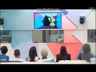 כניסת סטלה ממצלמות הבית