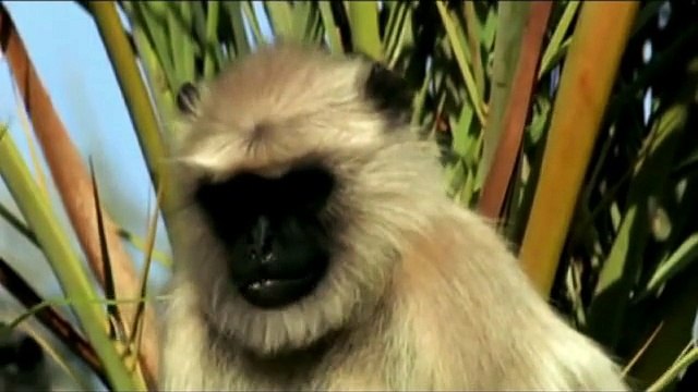 Miracle of allah أغرب عجائب الدنيا وغرائب العالم ومشاهد عجيبة لااله الا الله