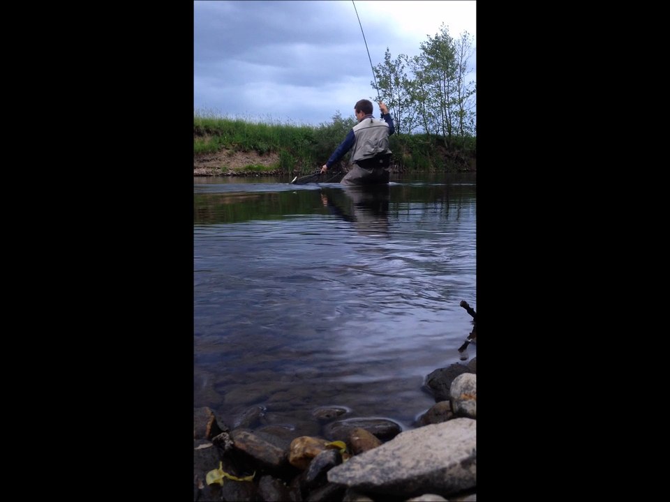 Pêche à la mouche no kill - Coup du soir Villers-Sur-Lesse 18/05/2015