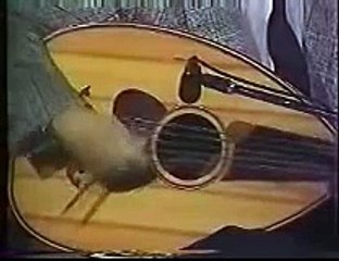 عزف عود   عمار الشريعي   ازوح لمين