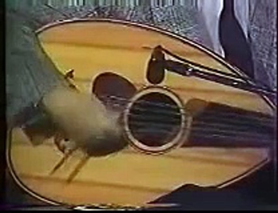 عزف عود   عمار الشريعي   ازوح لمين