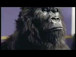 Best tv ad - Cadburys "Gorilla"