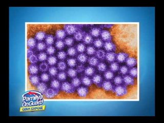 Poisonous bacteria can hide in food