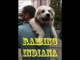 Raising Indiana Podcast: Vaccinations with Dr Jean Dodds