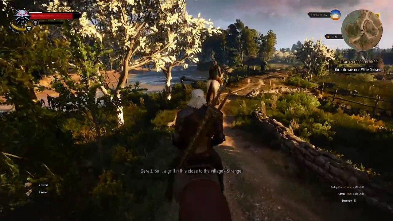 witcher3
