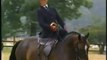 Side Saddle | Horse Riding Championship DVD | Equine DVD