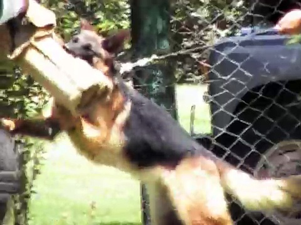 Protección