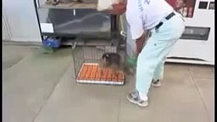 Shenzhen Jifu Investment Co: Ji Xin Zou of Wuhan Iron & Steel Co... Бачи-Юрт - Сбербанк Чечня