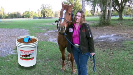 Extreme Horsemanship