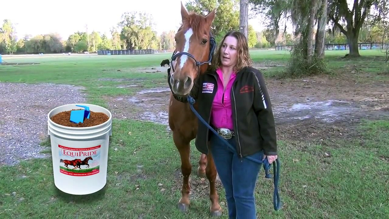 Extreme Horsemanship