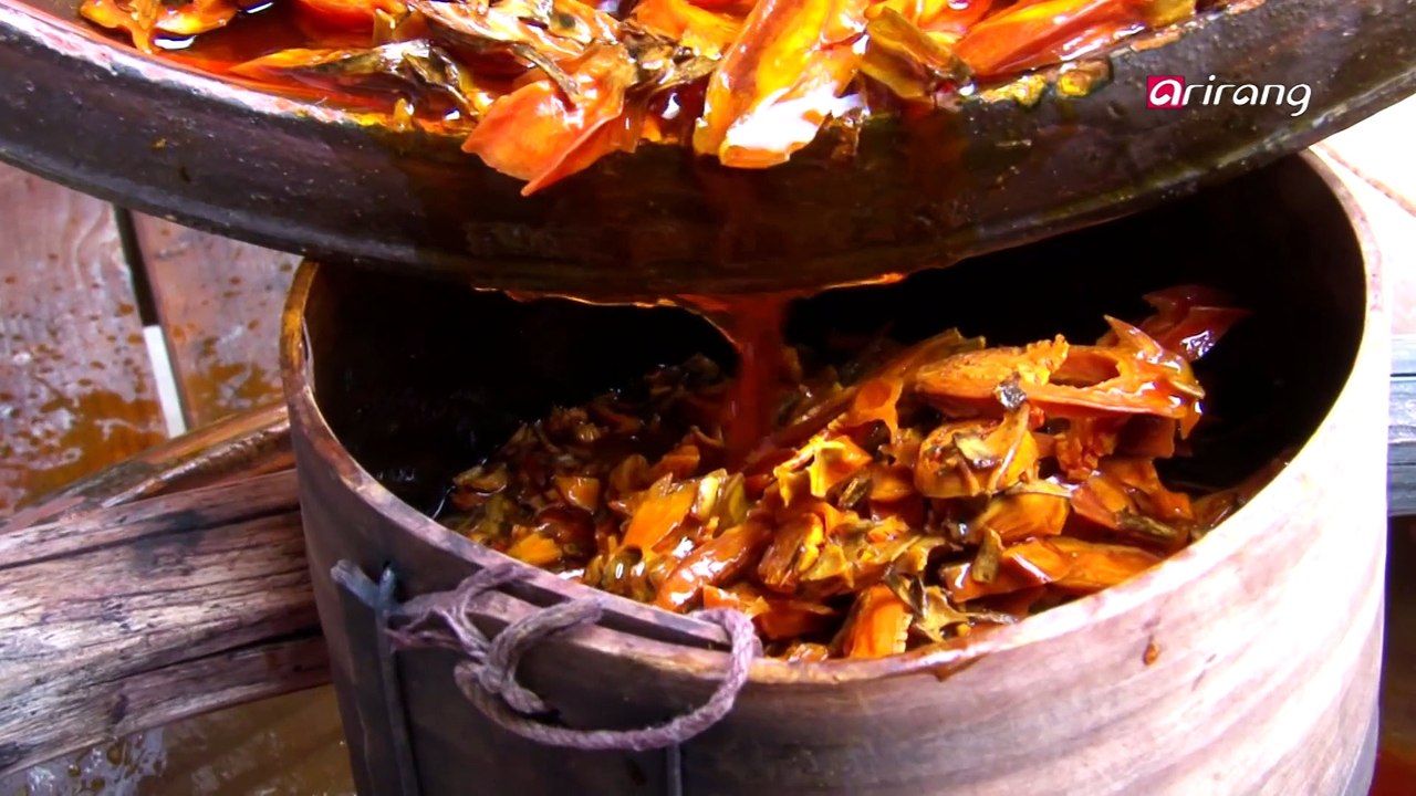 Mechanics of Life Ep5