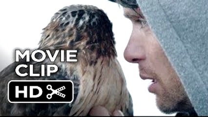 Aloft Movie CLIP - Falconry (2015) - Jennifer Connelly, Cillian Murphy Movie HD
