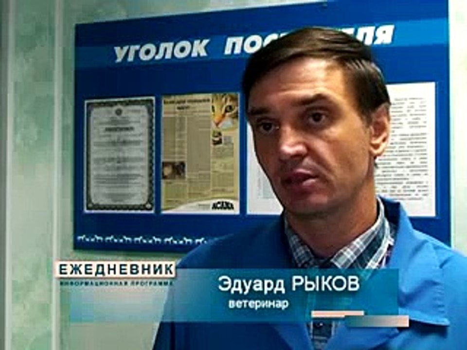 СМЕРТЬ СОБАКИ ОТ ТАБЛЕТКИ