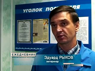 СМЕРТЬ СОБАКИ ОТ ТАБЛЕТКИ