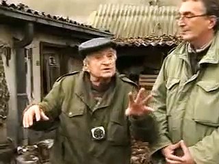 Српски жути гонич