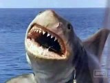 Lo Squalo 4 - La vendetta - Jaws The revenge (1987) Finale Eliminato dalla Produzione