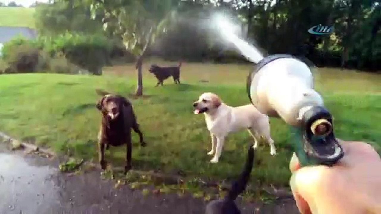 Serinlemek hiç bu kadar eğlenceli olmamıştı