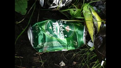 Alkohol och samhället