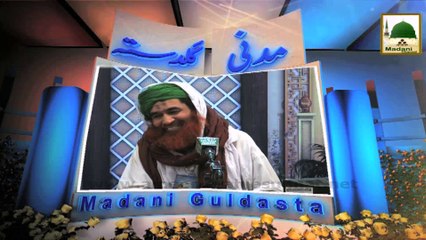 Pakistan is the Blessings of Sunni Ulama - Maulana Ilyas Qadri - Madani Guldasta 581
