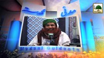 Reason for Writing Booklet Some Attacks of Satan - Maulana Ilyas Qadri - Madani Guldasta 584