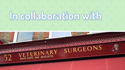 Hound Hacks: Tip 5 - The Sopranos