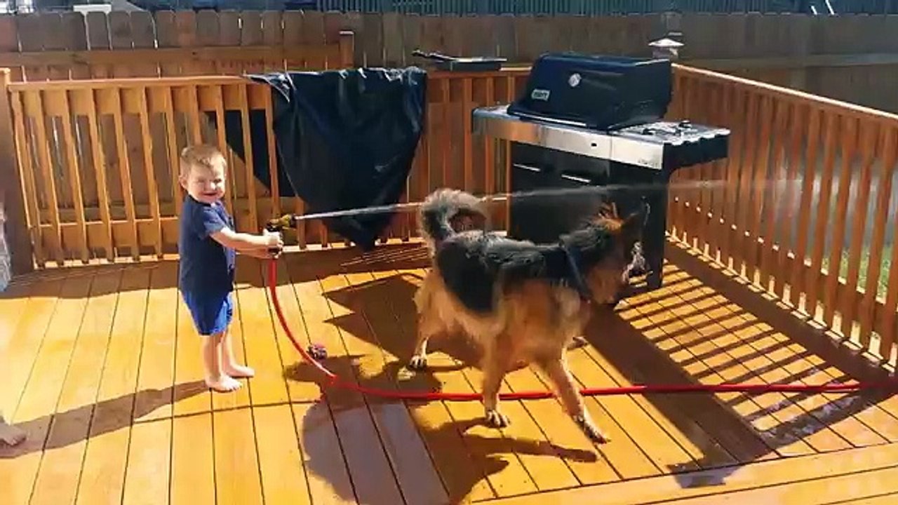 Funny Babies with Funny Dog