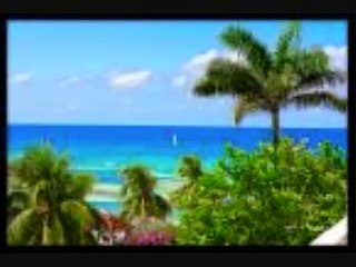 Gospel reggae  - Jesus will lead me