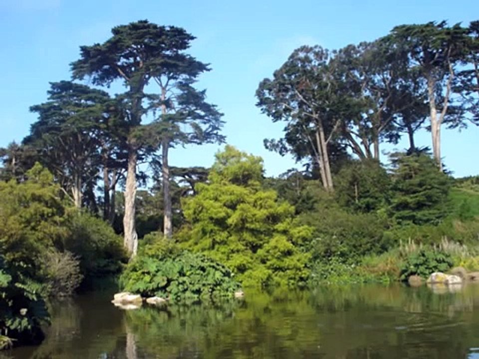 Guided Yoga Nidra Meditation for Relaxation and Stress Relief