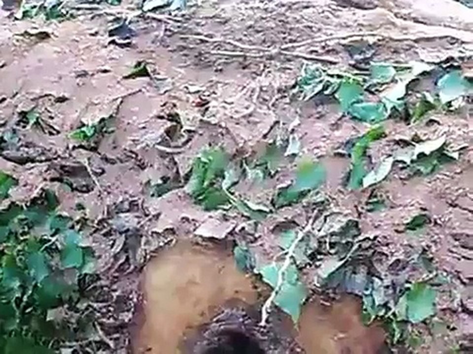 ŞENTEPE KOMBİ SERVİSİ  0312-279 15 16 BAYMAK FERROLİ AUER MAMAK SAİMEKADIN -GÜLVEREN- BUDERUS-BERATTA-ETNA-BAYKAN