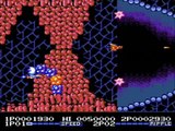 [NES] De A à Z : Flying Warriors