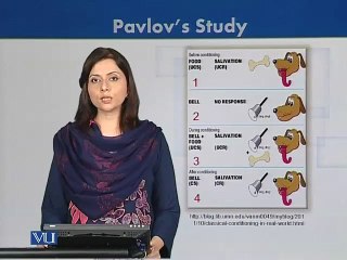 Pavlov's Classical Conditioning Study 🐶