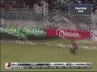 Sialkot Stallions win the Super 8 T20 Cup 2015,  champions of Pakistan