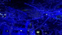 [4K]中目黒に冬の新名所! 目黒川がLEDで青の洞窟に!! Blue LED of Winter illumination at Tokyo Nakameguro : FDR-AX100