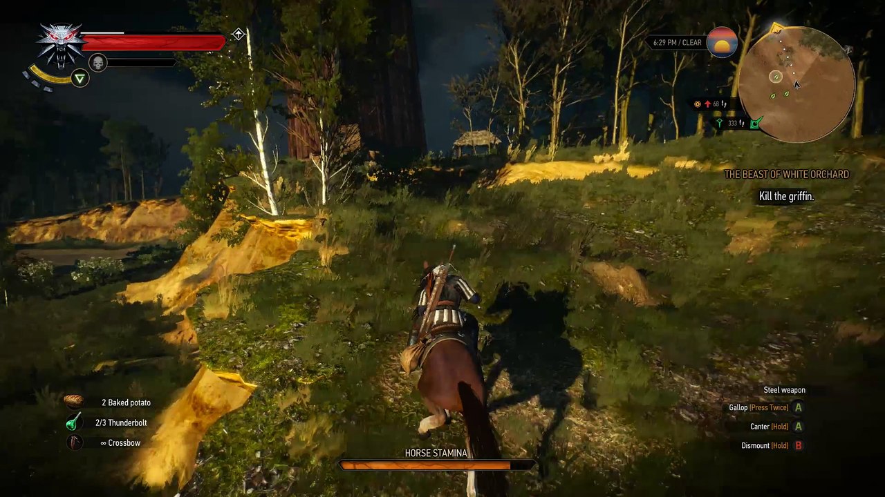 Kill Royal Griffin in witcher 3 the beast of white orchard quest