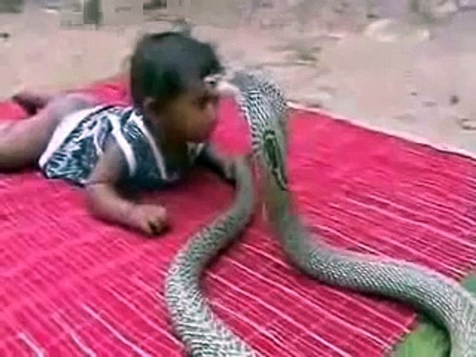 يوتيوب غرائب وخوارق العالم
