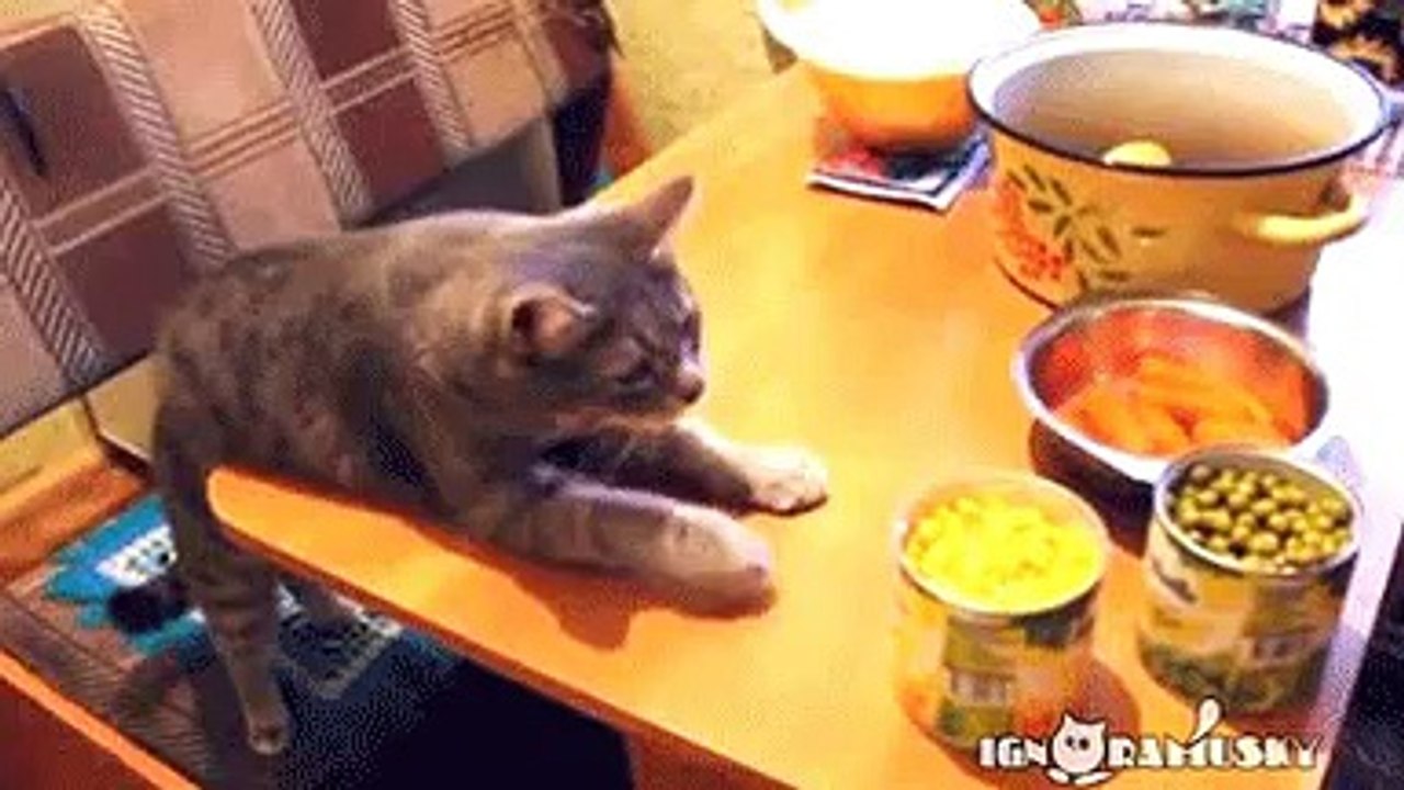 what is that
