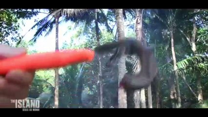 The Island : les conseils d’aventuriers pour survivre seul sur une île déserte