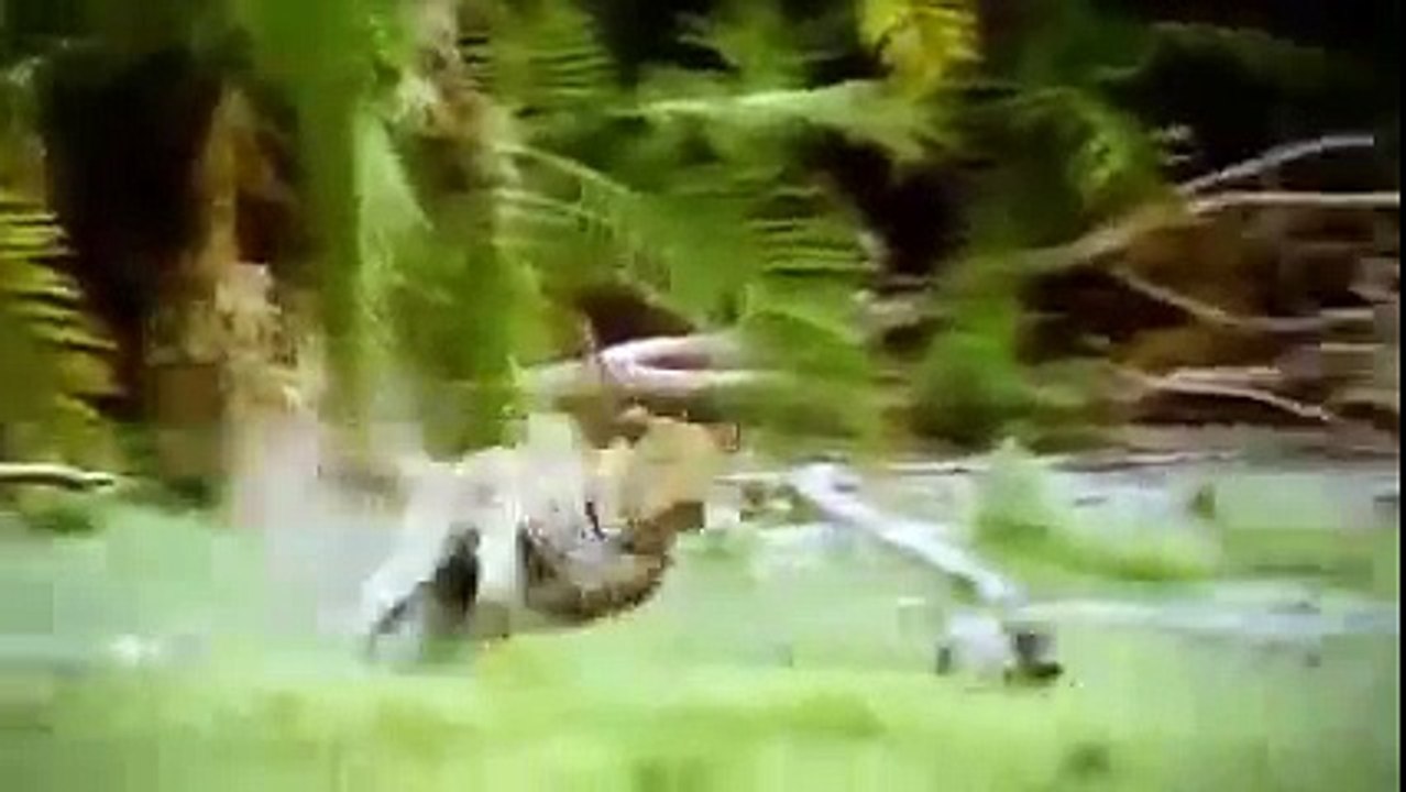 Documentary Film 2015 | Wild Japan Nature, Nat Geo Wild 2015 , National Geographic HD