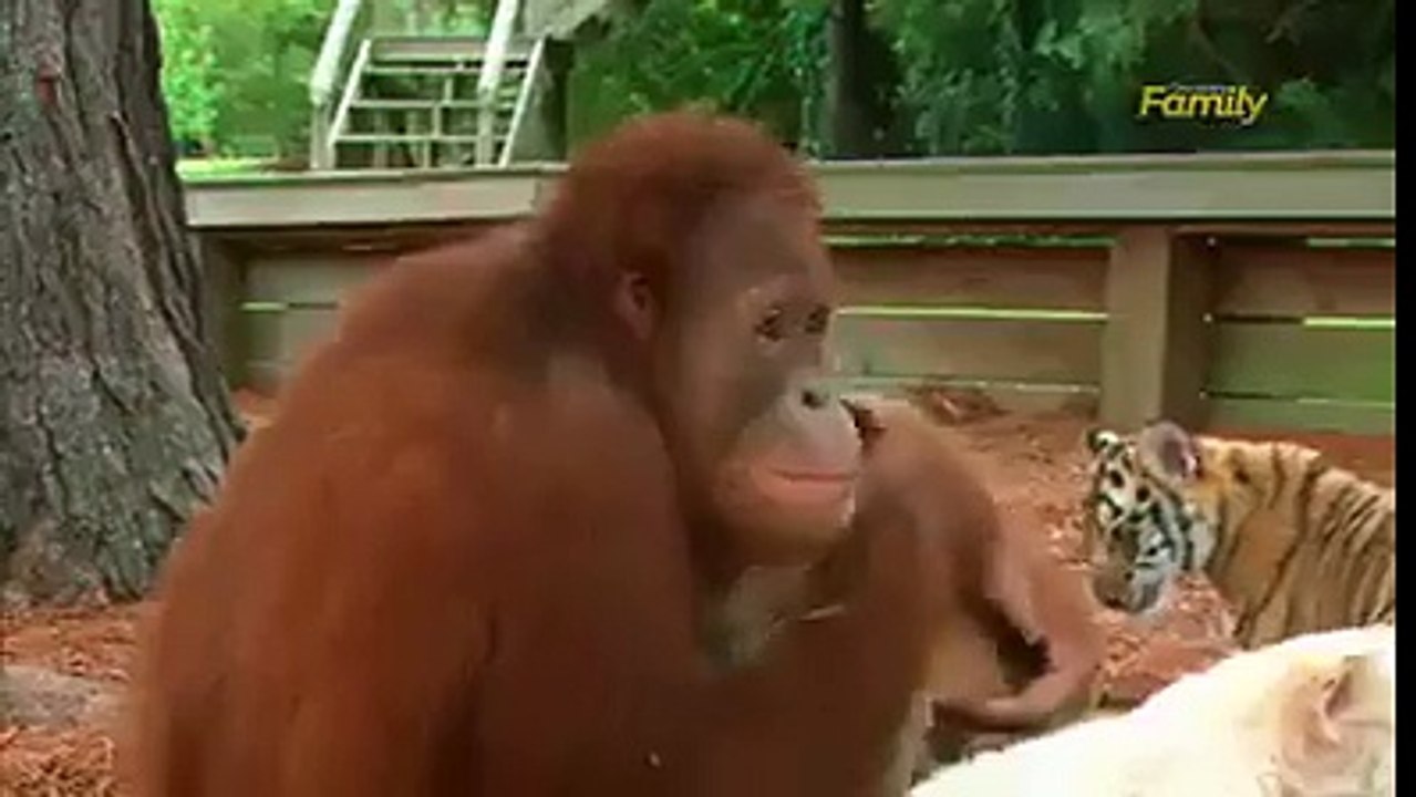 very impressive and amazing