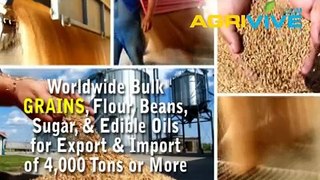 Buy USA Bulk Wholesale Grains Export, Grains Export, Grains Export, Grains Export, Grains Export, Grains Export, Grains