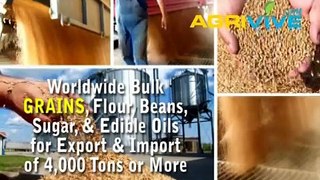 Buy USA Bulk Wholesale Grains Trade, Grains Trade, Grains Trade, Grains Trade, Grains Trade, Grains Trade, Grains Trade