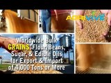 Buy USA Bulk Wholesale Grains Trade, Grains Trade, Grains Trade, Grains Trade, Grains Trade, Grains Trade, Grains Trade