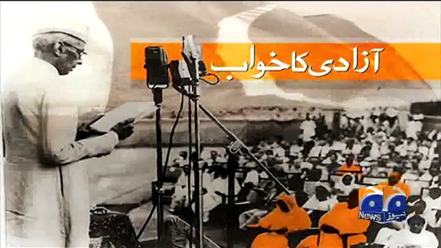 Naya Pakistan with Talat Hussain on Geo News